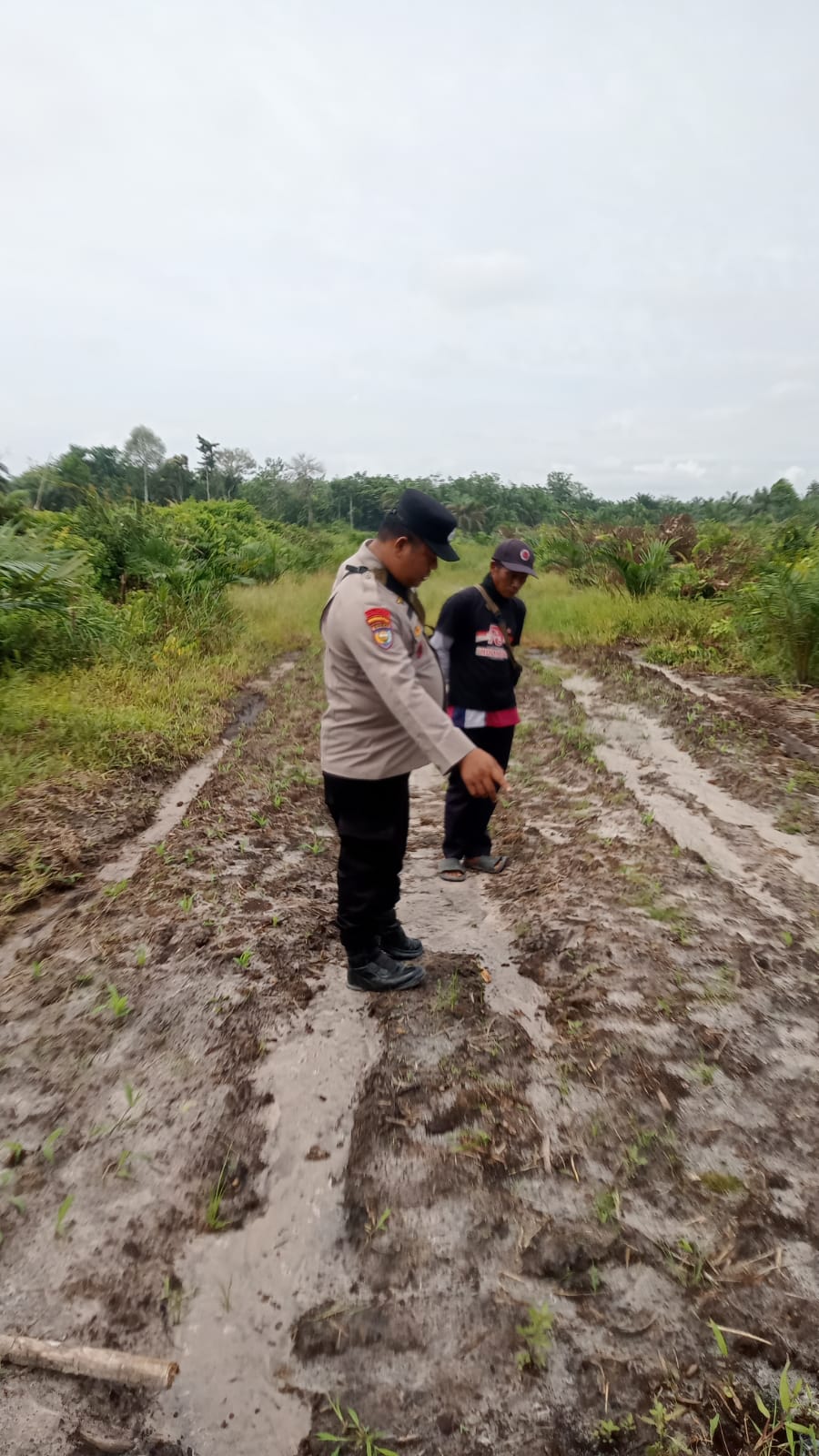 Bhabinkamtibmas Kampung Mandiangin Cek Perkembangan Jagung Pipil Program Ketahanan Pangan di Usia 16 Hari