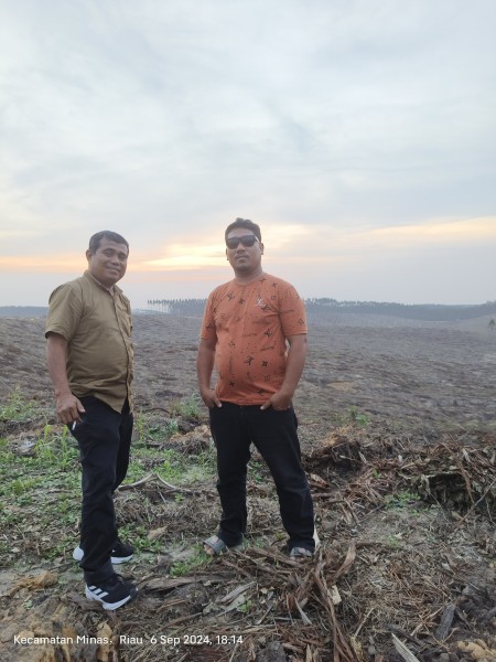 Jutaan Hektar Penguasaan Hutan Riau Dikuasai Perusahaan Tanaman Industri (HTI), Namun Rakyat Sekitar Tetap Susah!