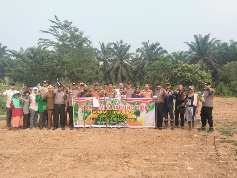 Polri Dukung Ketahanan Pangan, Desa Koto Tandun Tanam Jagung Kuartal III