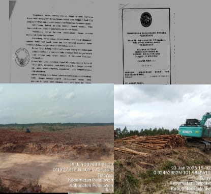 Diduga Abaikan Putusan MA, Aktivitas Penebangan PT Arara Abadi Masih Berlangsung di Lahan Adat Batin Sengeri