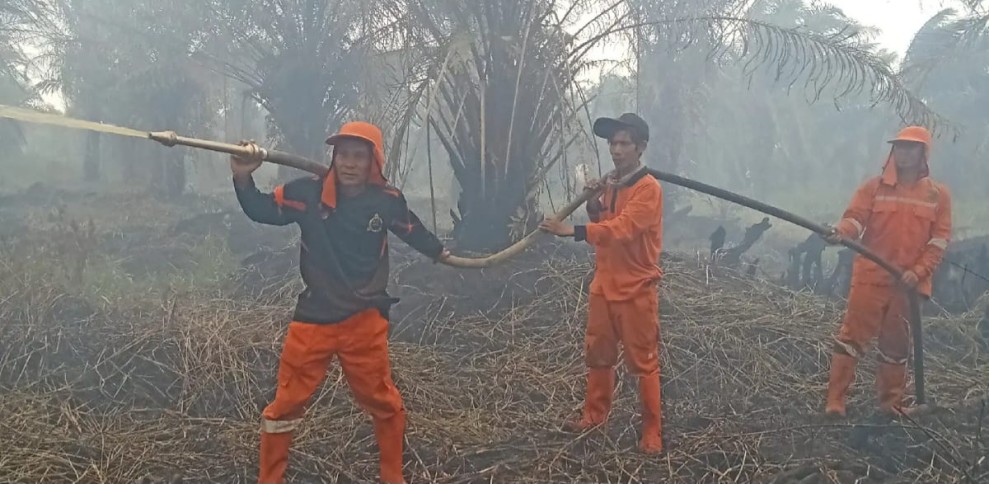 Puluhan Satgas BPBD Rohil Tanjap Gas Atasi Karhutla di Simpang Kanan