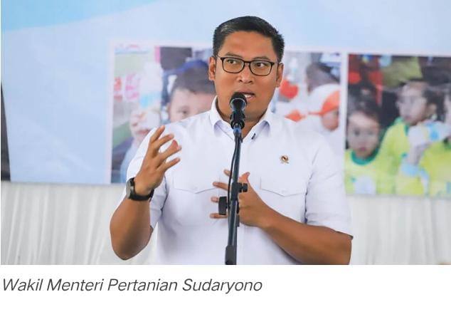 Wamentan Sudaryono Beberkan Strategi Jaga Harga Beras Stabil