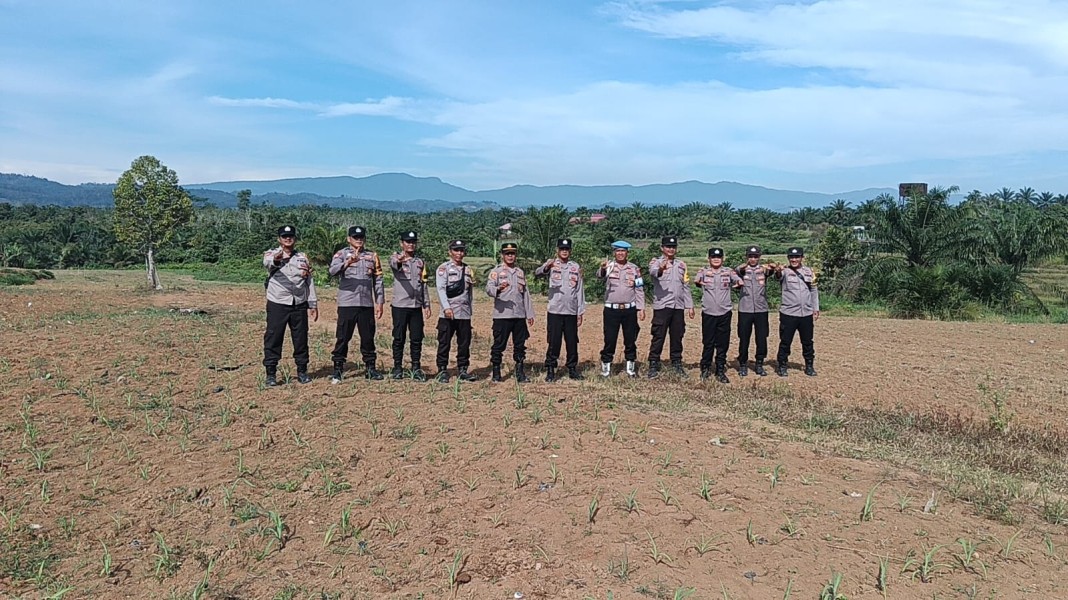 Polsek Rambah Cek Perkembangan Jagung Ketahanan Pangan di Desa Suka Maju