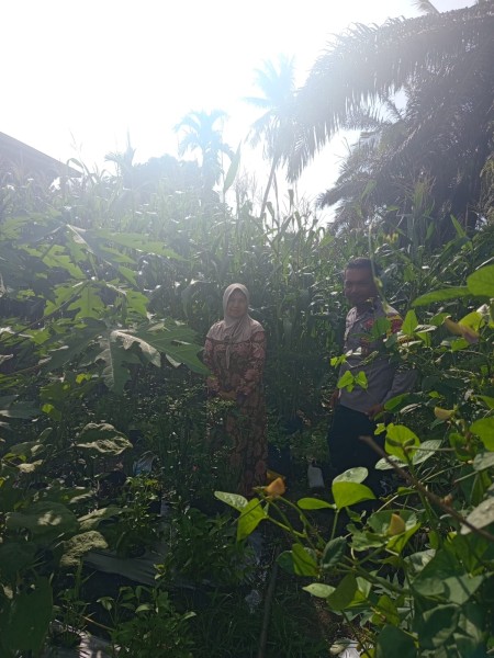 Dukung Program Nasional, Polsek Pasir Penyu Awasi Perkembangan Jagung Pipil di Inhu