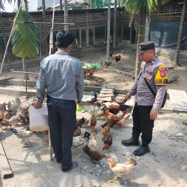 Bhabinkamtibmas Polsek Pasir Penyu Dorong Ketahanan Pangan, Warga Petalongan Kembangkan Pekarangan Jadi Sumber Pangan Keluarga