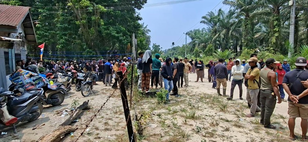 PT AGRINAS PALMA NUSANTARA SEBAGAI PERPANJANGAN TANGAN NEGARA, PIHAK YANG MELAWAN KEPUTUSAN NEGARA HARUS BERHADAPAN DENGAN HUKUM