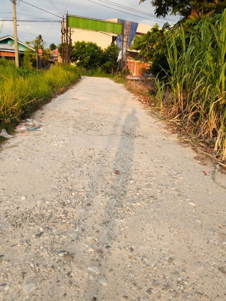Yayasan Masyarakat Peduli Hutan dan Jalan Raya Desak Pemerintah Segera Perbaiki Jalan Gulama/Pias di Pekanbaru