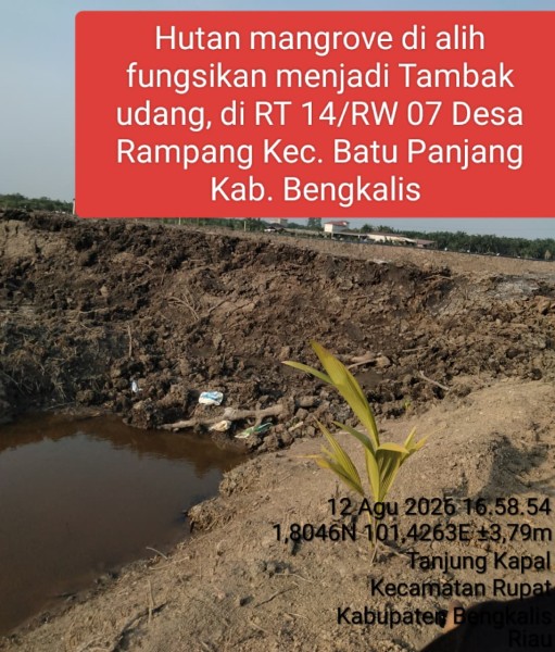 DPP LSM KPK Riau Akan Laporkan Dugaan Perusakan Mangrove untuk Tambak Udang di Rupat