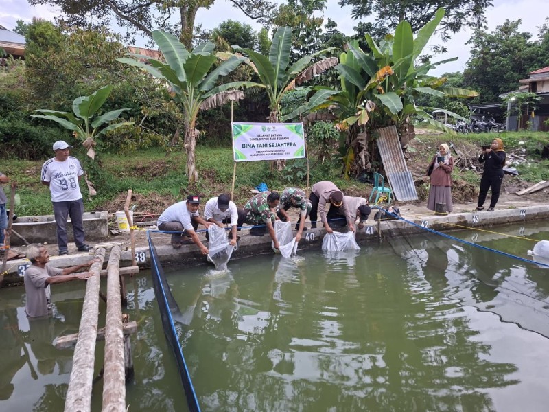 Kapolsek Pasir Penyu Dorong Budidaya Kolam Ikan Demi Perkuat Ketahanan Pangan Nasional