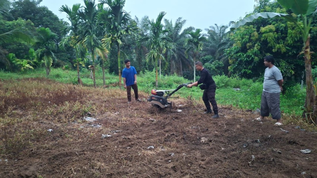 Polsek Minas Cek Calon Lahan Program Ketahanan Pangan Jagung Pipil di Minas Jaya
