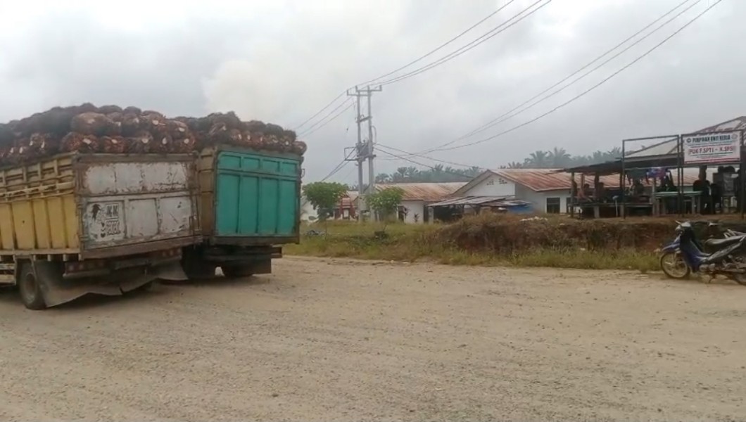 Kondusif, Aktivitas Bongkar Muat TBS di PKS PT SKA Sungai Kuning Berjalan Lancar