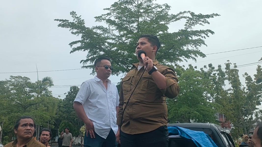 AMMP Desak Pemerintah Transparan Usut Kematian Anak Gajah di Pelalawan