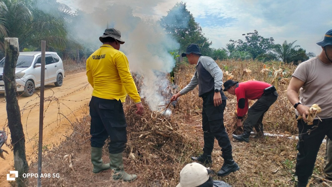 Polsek Minas Gotong Royong Bersihkan Lahan Jagung Jelang Panen Raya di Kampung Rantau Bertuah