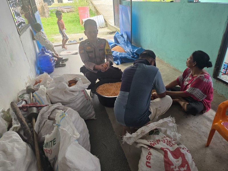 Bhabinkamtibmas Dampingi Kelompok Tani Minas Barat Lakukan Pemipilan Jagung Hasil Panen, Dukung Program Ketahanan Pangan