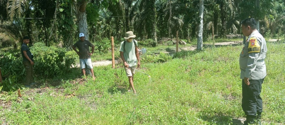 Pembersihan Lahan Penanaman Jagung Kuartal II di Kampung Rantau Bertuah, Bhabinkamtibmas Polsek Minas Lakukan Pengecekan dan Persiapan Lahan