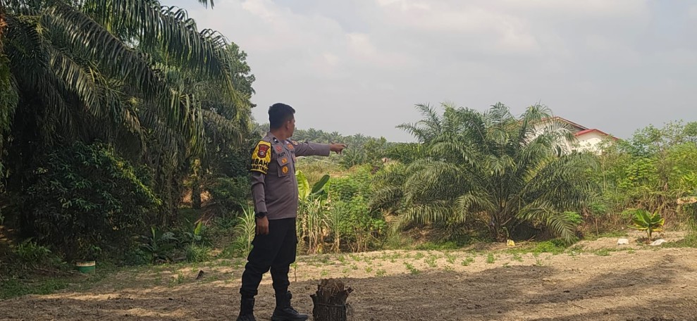 Polsek Minas Dampingi Kelompok Tani Siapkan Lahan Jagung Pipil Seluas Setengah Hektare