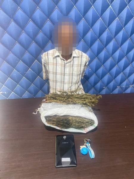 Pengembangan Kasus Ganja, Polres Aceh Barat Sita 1,5 Kilogram Ganja dan Amankan Seorang Tersangka