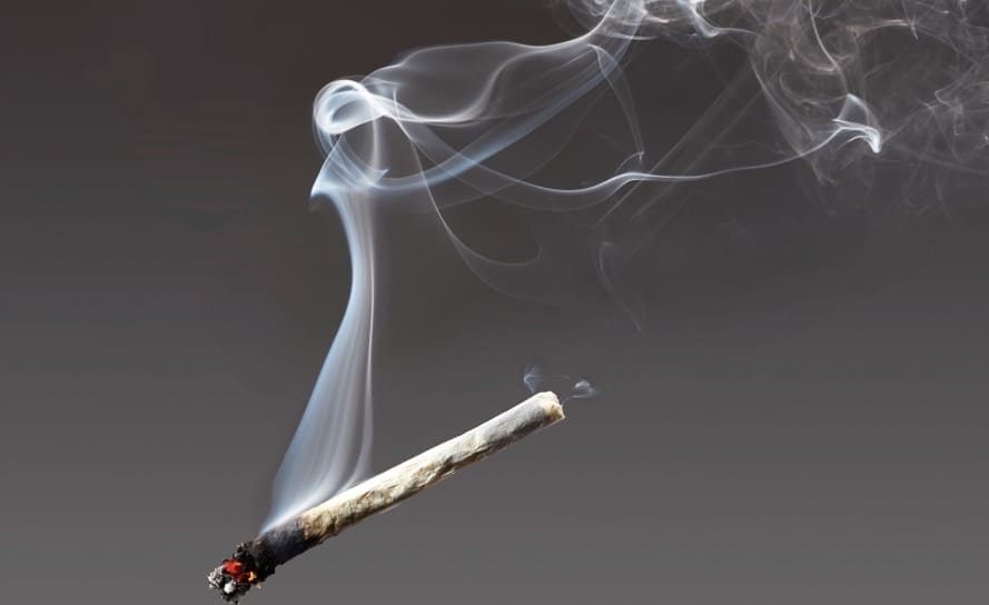 Tak Hisap Ganja Tapi Terpapar dan Positif, Ternyata Ini Penyebabnya