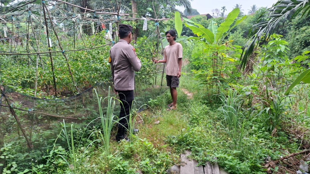 Bhabinkamtibmas Polsek Pasir Penyu Dorong Pemanfaatan Pekarangan Warga untuk Dukung Ketahanan Pangan Nasional