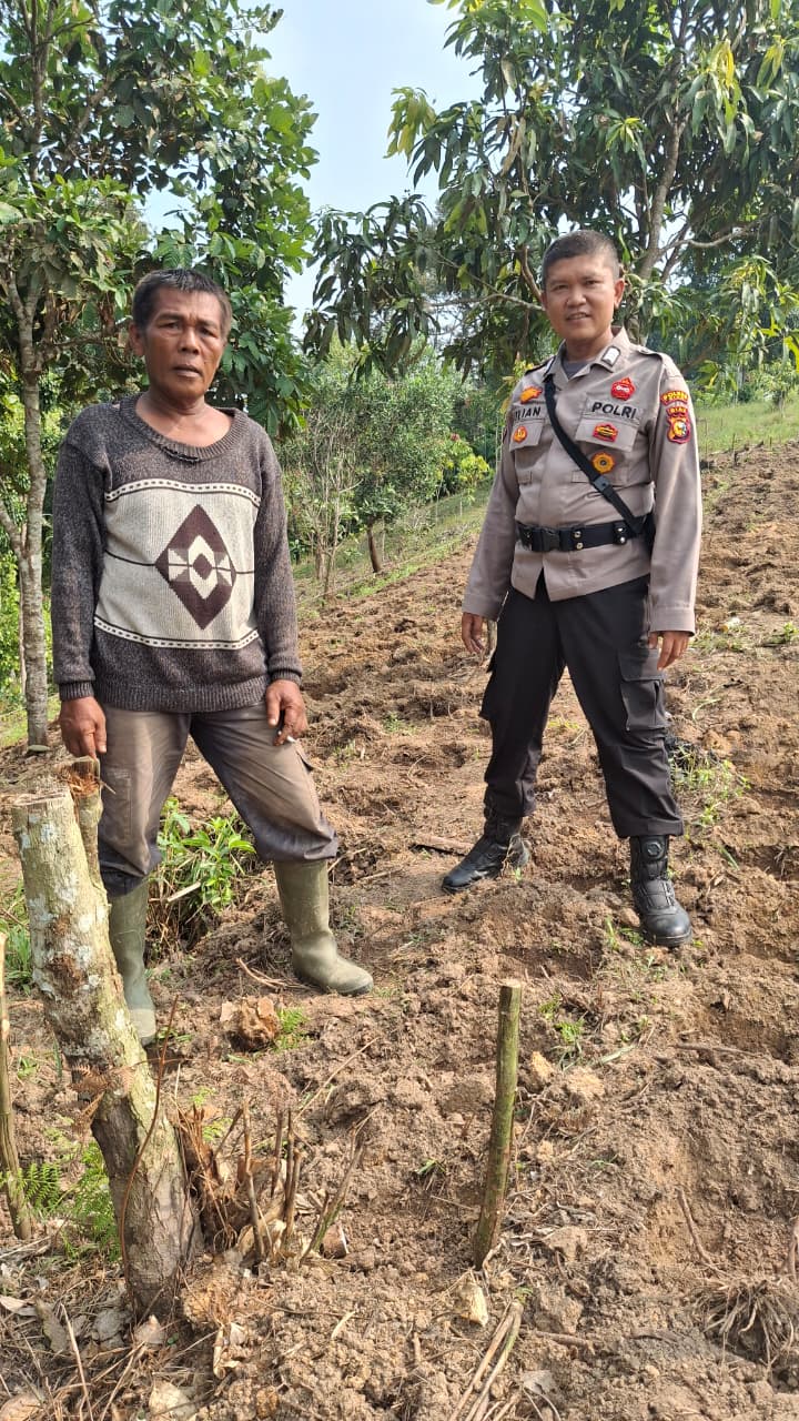 Polsek Minas Cek Kesiapan Lahan Jagung Pipil Program Ketahanan Pangan Kuartal II di Kelurahan Minas Jaya