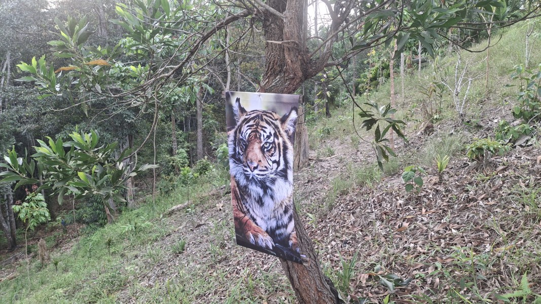 Polsek Minas Cek Perkembangan Jagung Ketahanan Pangan, Tanaman Terkendala Hama Monyet