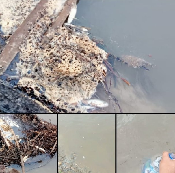 Diduga Cemari Sungai Juragi, PT MAN Terancam Sanksi Berat Hingga Penutupan Operasional