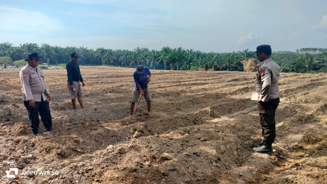 Polsek Minas Cek Calon Lahan Jagung Pipil 1,5 Hektare di Rantau Bertuah, Dukung Program Ketahanan Pangan Nasional