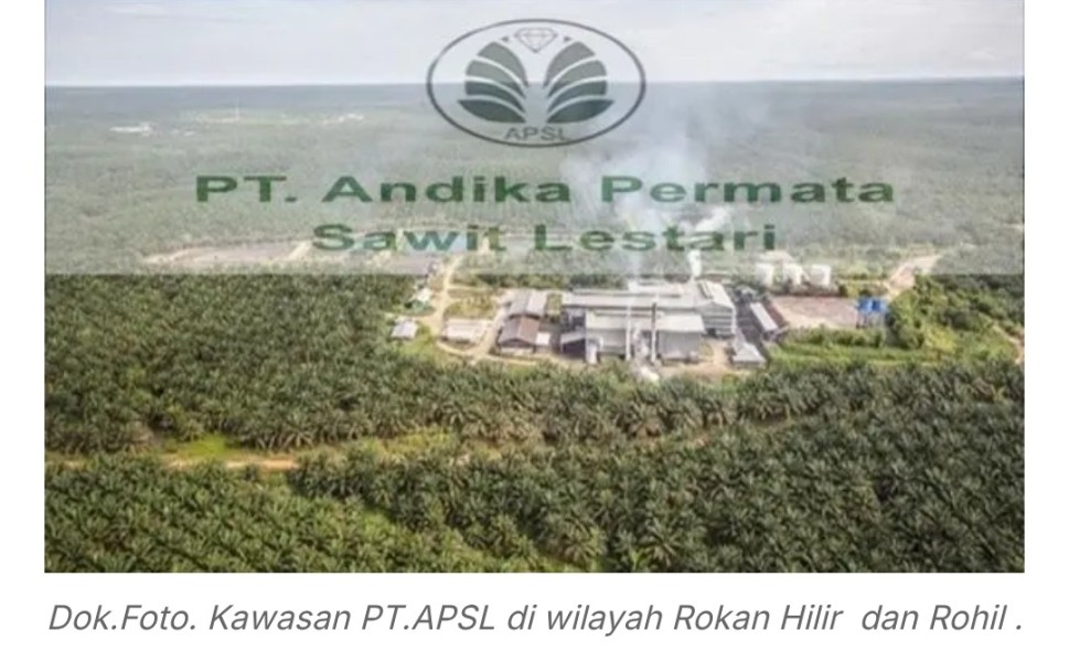 Negara Jangan Kalah! LSM KOREK RIAU Desak Penegakan Hukum Terkait Dugaan Penyerobotan 10.000 Ha Hutan oleh PT APSL