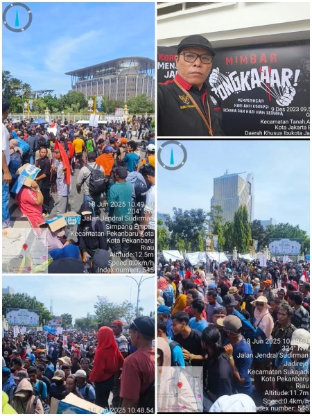 Kerusakan TNTN Riau: Pemerintah Harus Bertanggung Jawab