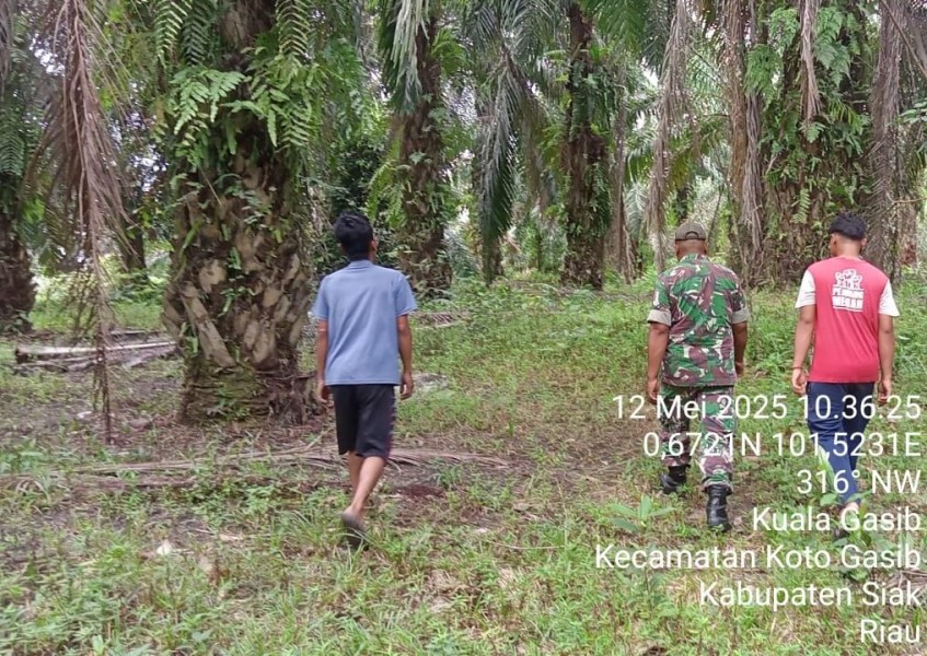 Sinergi TNI dan Masyarakat Terus Digalakkan dalam Pencegahan Karhutla di Wilayah Kuala Gasib