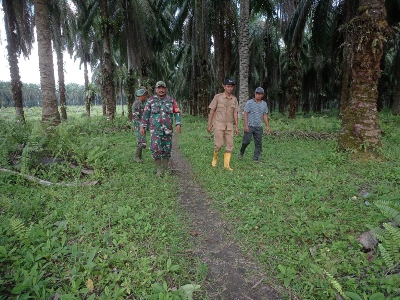 Babinsa Koptu Syamsualam K. Laksanakan Patroli Karhutla di Teluk Merbau, Siak