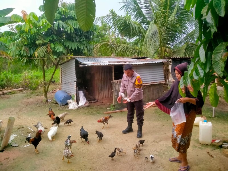 Bhabinkamtibmas Polsek Pasir Penyu Ajak Warga Kembangkan Ternak Ayam Kampung untuk Dukung Ketahanan Pangan