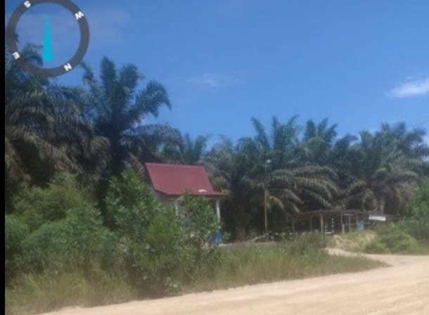 LSM KOREK Riau dan Aliansi Minas Soroti Dugaan Aktivitas PT Arara Abadi di Kawasan Tahura SSH