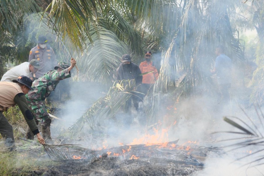 Bupati Afni Turun Padamkan Karhutla di Cagar Biosfer Tasik Betung, Bara Gambut Masih Mengancam