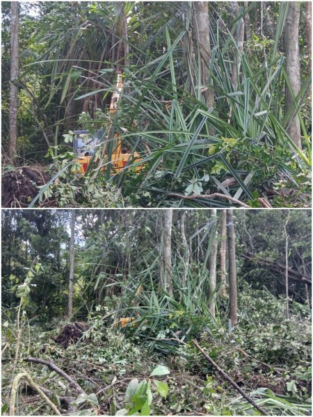 Warga Dusun Limbung Soroti Dugaan Penguasaan Lahan, Nama Mantan Kades Sempan Disebut dalam Polemik
