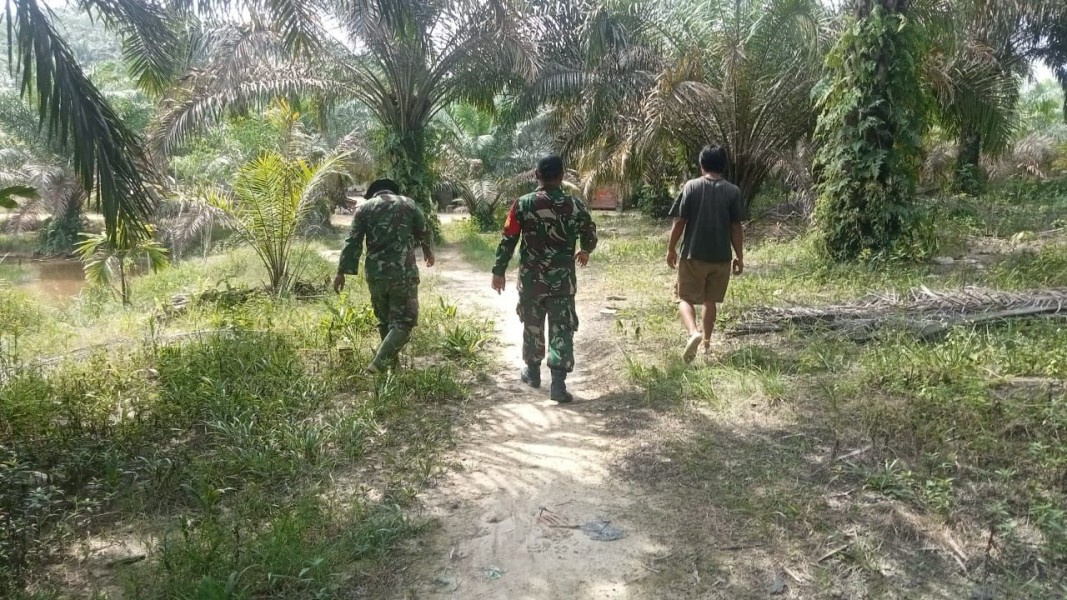 Patroli Karhutla Koramil 01/Siak di Kampung Sawit Permai