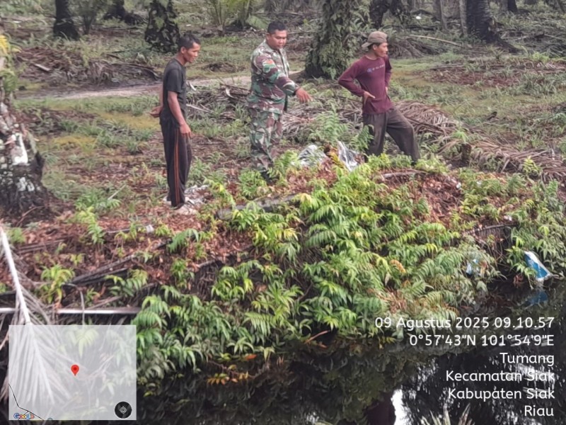 Babinsa Koramil 01/Siak Perkuat Sinergi dengan Warga Lewat Komsos dan Patroli Karhutla