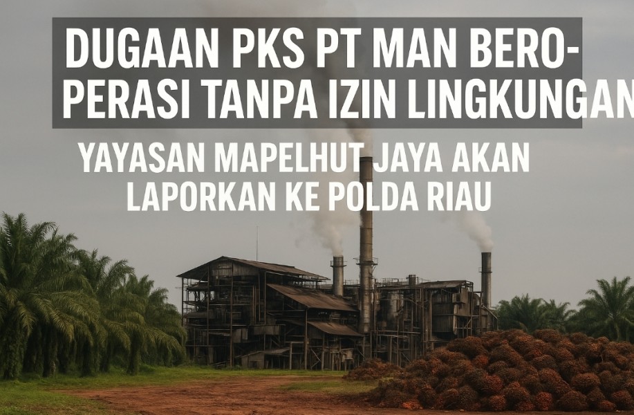 DUGAAN PKS PT MAN BEROPERASI TANPA IZIN LINGKUNGAN, YAYASAN MAPELHUT JAYA AKAN LAPORKAN KE POLDA RIAU