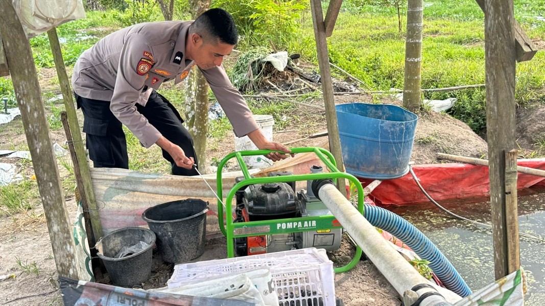 Hadapi Musim Kemarau, Polsek Koto Gasib Pastikan Tanaman Jagung Poktan Mekar Sari Tak Kekurangan Air