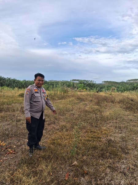 Dukung Ketahanan Pangan Nasional, Bhabinkamtibmas Polsek Minas Cek Lahan Penanaman Jagung Kuartal II di Rantau Bertuah
