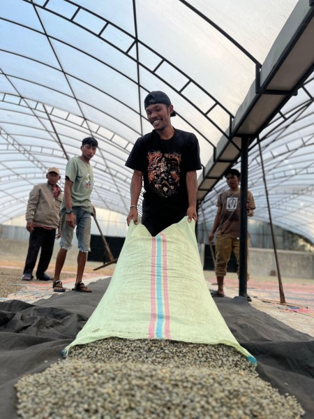 PT PEMA Ekspor Perdana 19 Ton Kopi Gayo ke Amerika Serikat