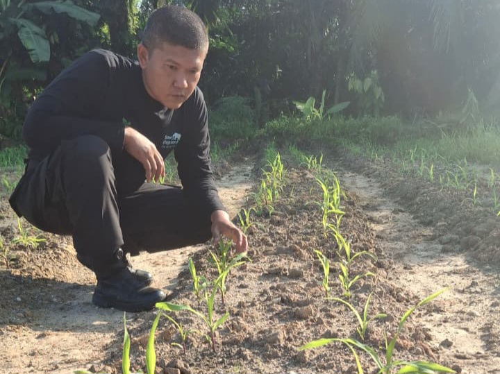 Bhabinkamtibmas Minas Jaya Cek Perkembangan Jagung Program Ketahanan Pangan Kuartal II