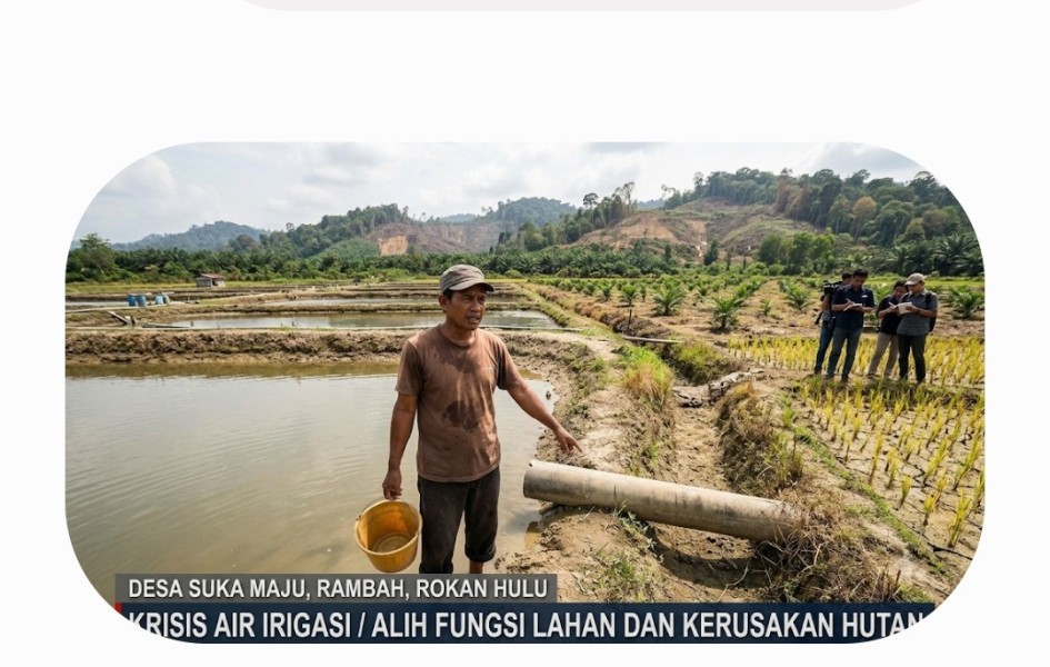 Petani Kolam Ikan Mengaku Jadi Kambing Hitam Krisis Air Irigasi, Aktivis Desak Pemerintah Usut Dugaan Kerusakan Kawasan Hutan