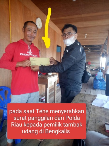 TINDAK LANJUTI LAPORAN LSM-KPK, PENYIDIK POLDA RIAU INVESTIGASI TAMBANG UDANG DI KAWASAN HUTAN BAKAU BENGKALIS
