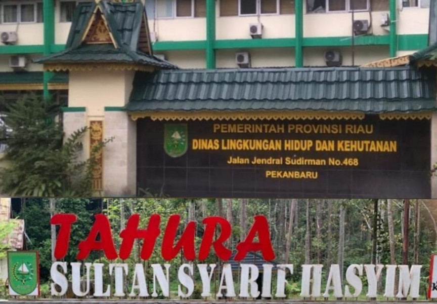 DLHK Riau Tindak Lanjuti Dumas, Dan Segera Panggil PT. Arara Abadi Terkait TAHURA SSH