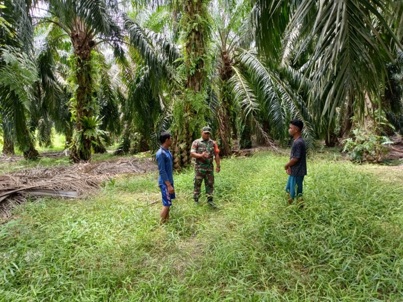 Babinsa Siak Perkuat Benteng Hijau: Patroli Karhutla di Tumang