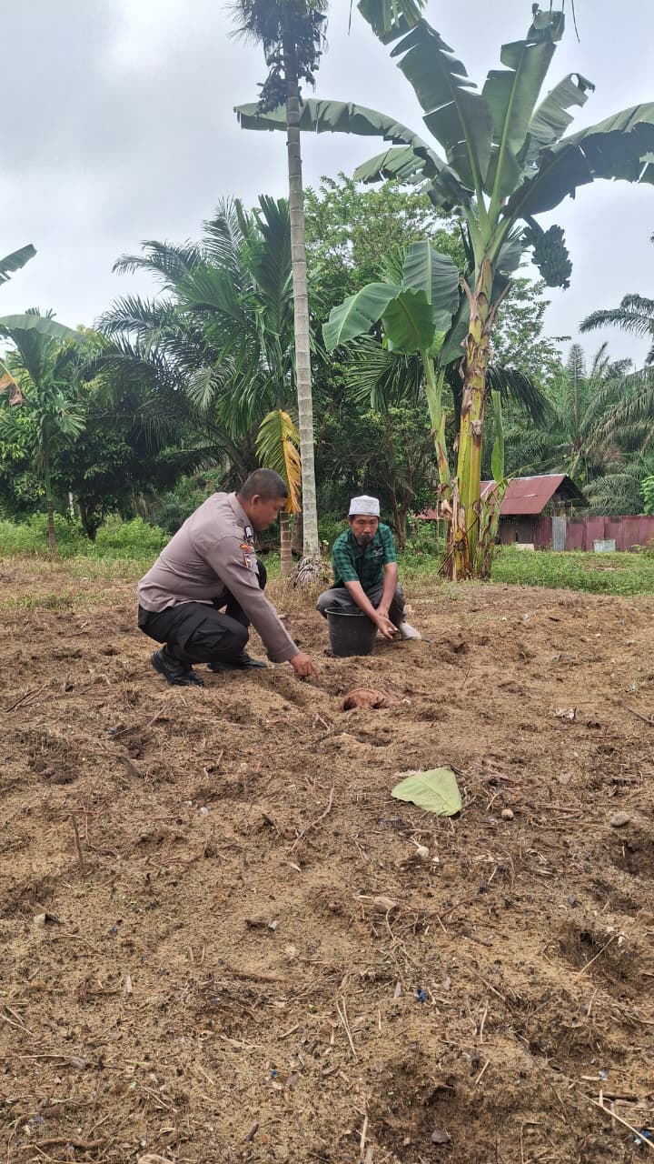Dukung Ketahanan Pangan Nasional, Polsek Minas Siapkan Lahan Budidaya Jagung Pipil di Minas Jaya