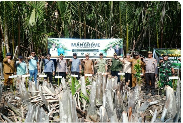 Polres Inhil Bersama Kodim 0314/Inhil dan Pemkab Tanam 5.000 Mangrove di Kuindra, Peringati Hari Mangrove Sedunia