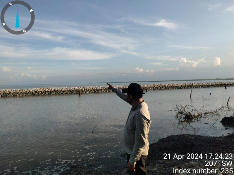 Diduga Tak Sesuai Spesifikasi Pembangunan Pengaman Pantai Ketapang dan Sekodi Kabupaten Bengkalis Ketua Umum Inpest Siapkan Laporan ke Kejati Riau