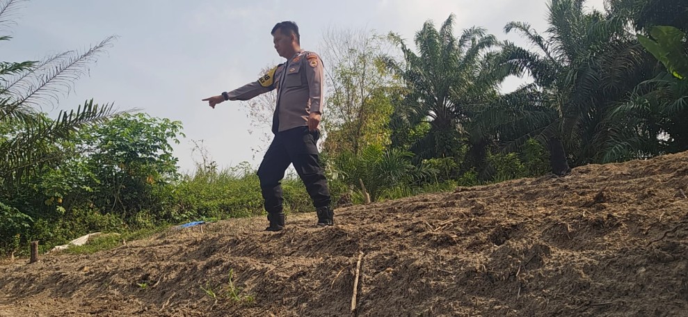 Lahan Setengah Hektare Disiapkan untuk Jagung Pipil, Polsek Minas Turun Dampingi Petani